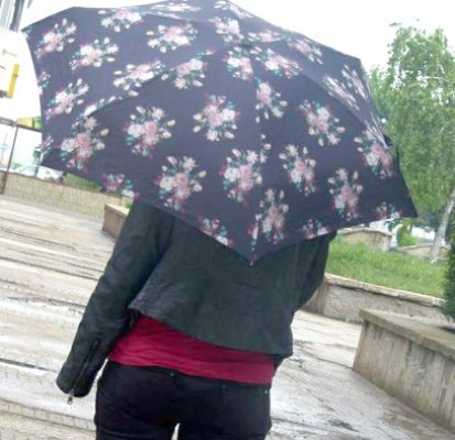Vreme blândă, pentru o zi